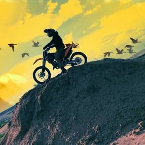 Meet your Posher, Darrick